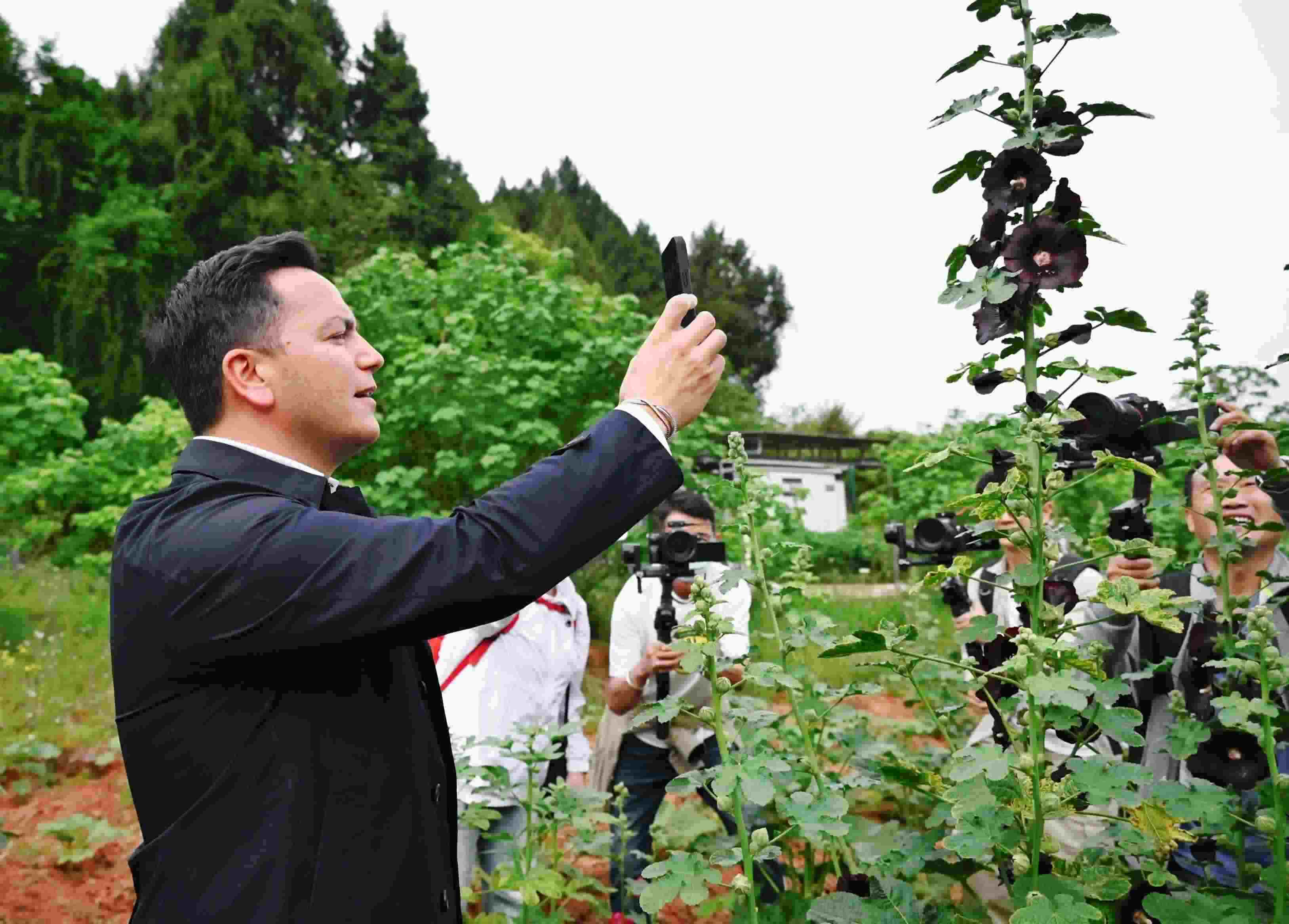  △2024年4月23日，國(guó)際園藝生產(chǎn)者協(xié)會(huì)主席萊昂納多·卡皮塔尼奧在成都市金堂縣鮮花山谷景區(qū)考察蜀葵產(chǎn)業(yè)。