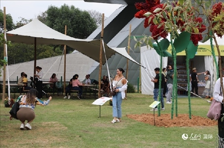 坎波·馬特活動現(xiàn)場。埃內(nèi)斯托·多明戈斯攝