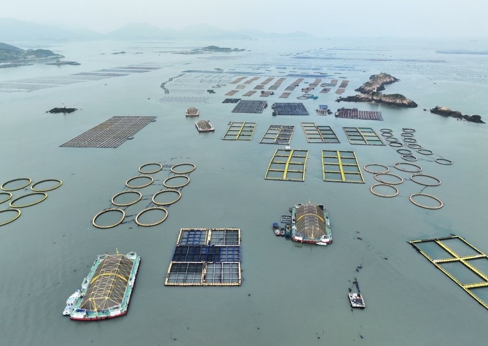 在福建連江定海灣海域，坐落著“定海灣1號(hào)”“定海灣2號(hào)”等深遠(yuǎn)海養(yǎng)殖平臺(tái)（2024年5月7日攝，無人機(jī)照片）。新華社記者 林善傳 攝