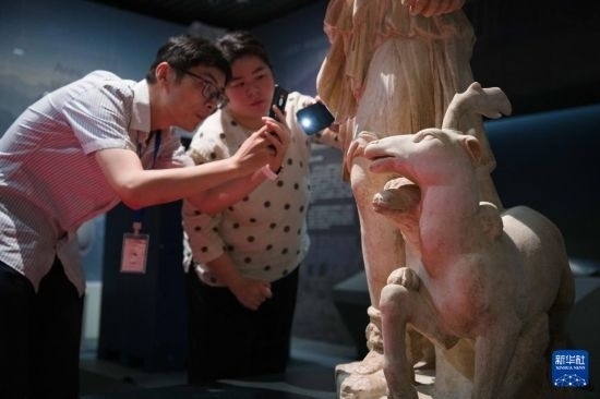 7月2日，安徽博物院工作人員在拍攝開箱后的古希臘文物。新華社記者 張端 攝