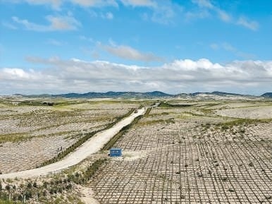 剛剛竣工的其白線穿沙公路。