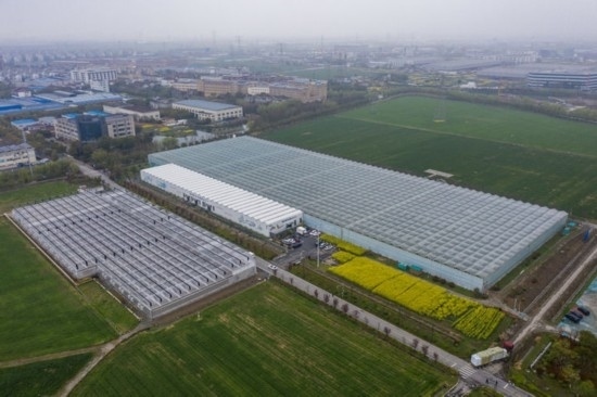 2024年3月28日，空中俯瞰嘉興南湖區(qū)湘家蕩農(nóng)業(yè)數(shù)字化工廠（無人機照片）。該農(nóng)業(yè)數(shù)字化工廠占地總面積約62畝，包含智慧農(nóng)業(yè)生產(chǎn)、物聯(lián)網(wǎng)智能管理、自動分揀包裝、保鮮儲藏物流、高科技示范展示等五大功能區(qū)，可直接或間接培養(yǎng)帶動新型職業(yè)技術(shù)農(nóng)民500人以上。新華社記者 徐昱 攝