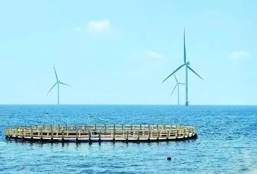 △山東萊州風電項目實現(xiàn)了海上風電和海洋牧場融合發(fā)展。
