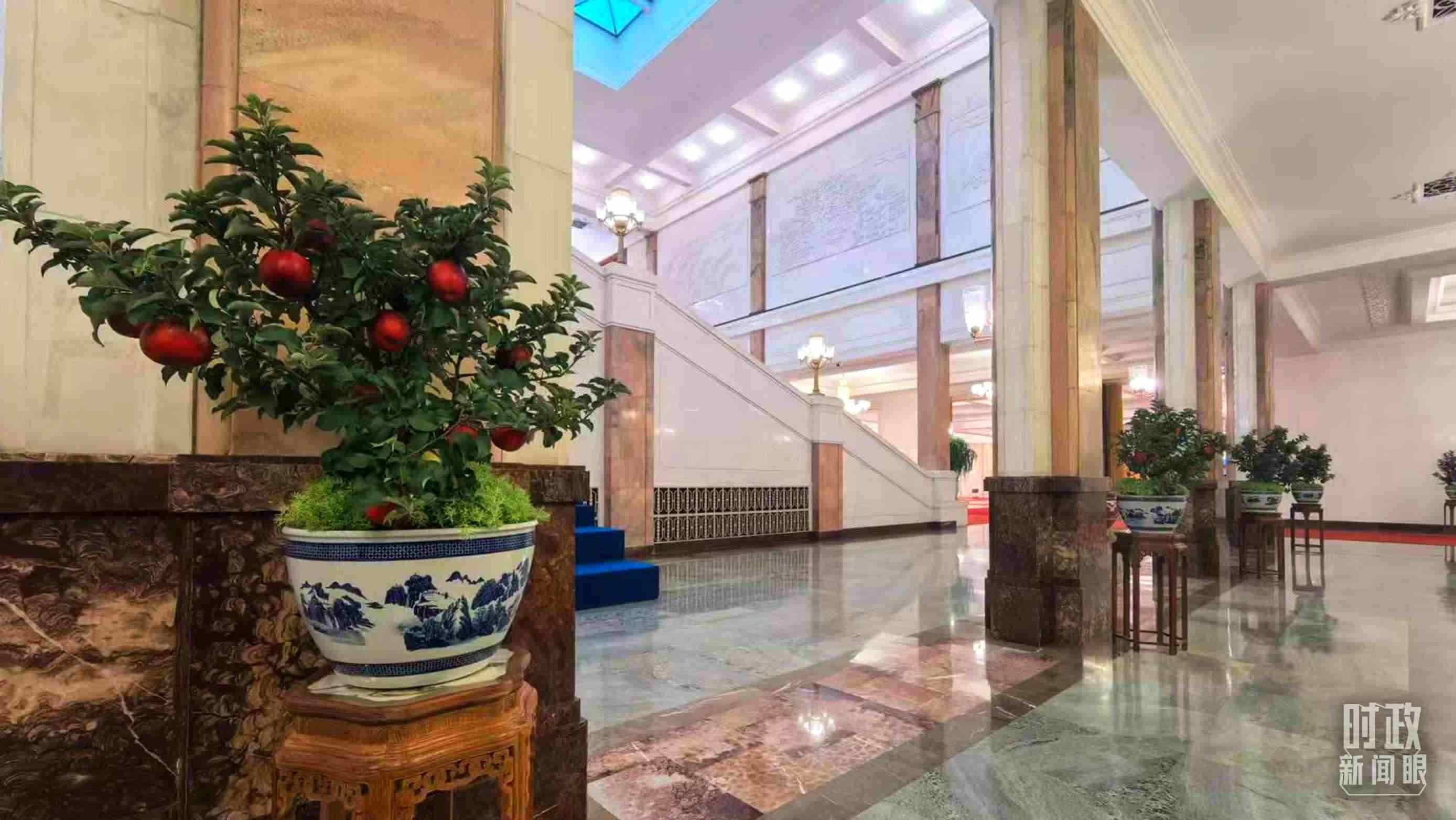  △大會堂內(nèi)的“碩果累累”盆栽。（總臺國廣記者吳倩拍攝）