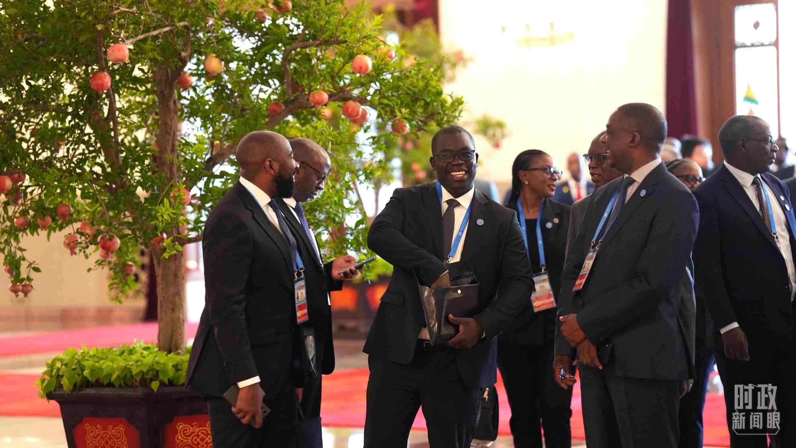 出席中非合作論壇北京峰會(huì)的非洲國家代表。（總臺(tái)記者李晉拍攝）