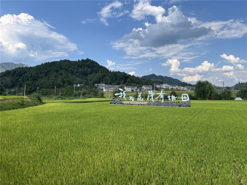 青瓦白磚的黔北民居、風(fēng)中搖曳的稻田、抬手可觸的大片云朵……才剛下車(chē)，格魯吉亞“經(jīng)濟(jì)中心網(wǎng)”總編輯莉安娜·喬爾喬利亞尼就被眼前的景色拖住了步履，喃喃細(xì)語(yǔ)：“實(shí)在太美了，讓我內(nèi)心平靜，在這里生活一定非常安逸和幸福?！保ㄇ褫x攝）