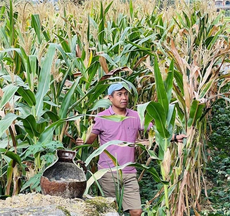 不是攀登石林高臺(tái)，就是鉆入玉米莊稼地，吉爾吉斯斯坦《自由之山報(bào)》總編輯納拉雷·阿桑巴耶夫“身手不凡”，與生長(zhǎng)旺盛的玉米構(gòu)成了花茂村的鄉(xiāng)間野趣。（張亞欣攝）