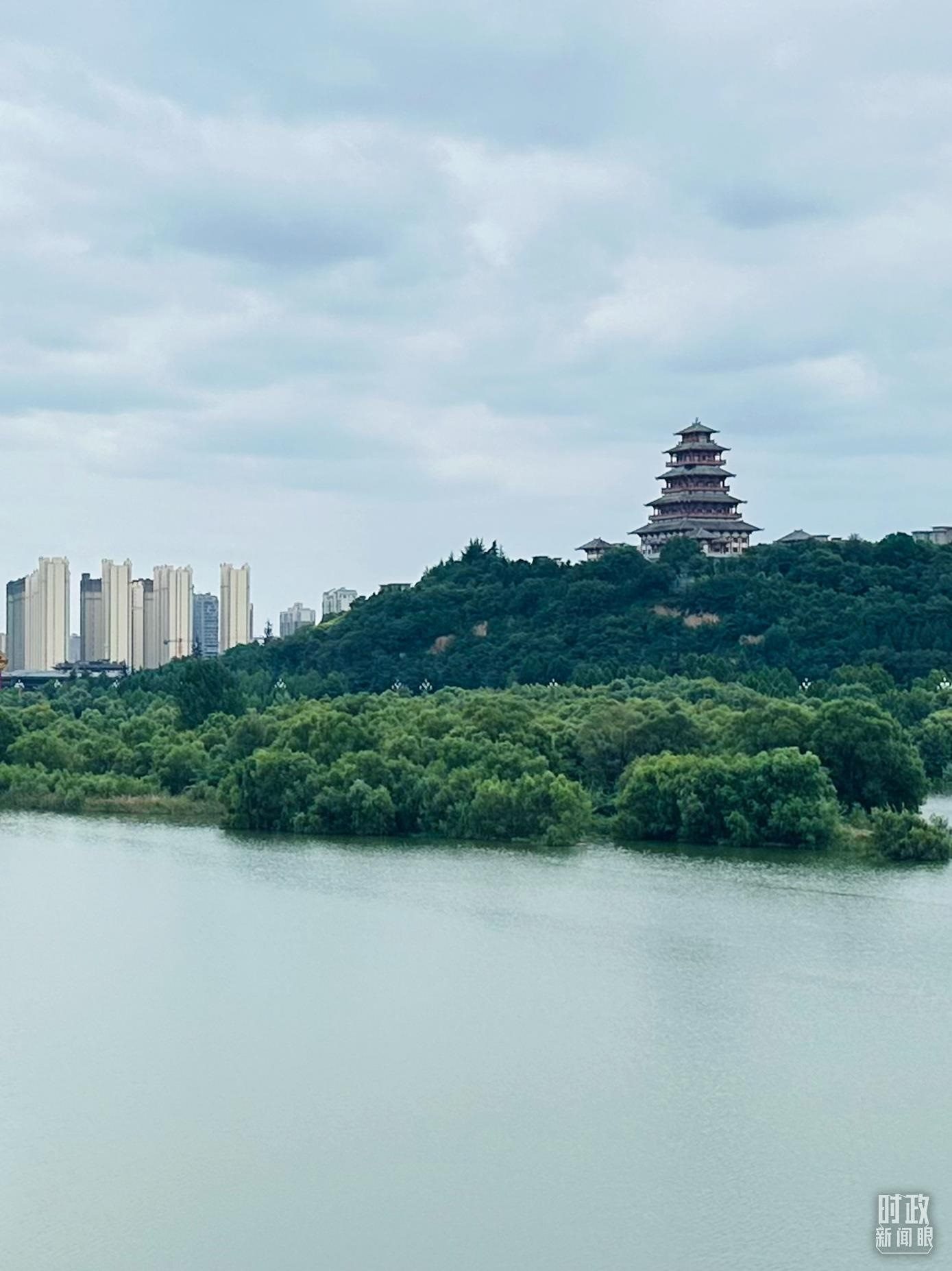 △渭河寶雞段長224公里，目前建成17處渭河灘區(qū)生態(tài)涵養(yǎng)區(qū)。（總臺央視記者范一鳴拍攝）