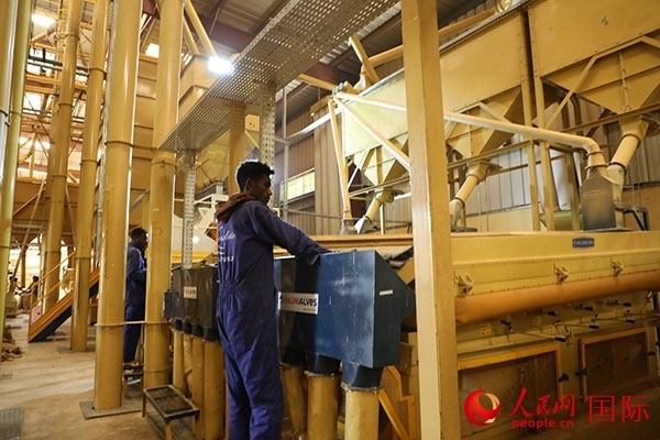 在Bule Hora咖啡加工廠里工作的當?shù)毓と藗?。人民網記者 沈小曉攝