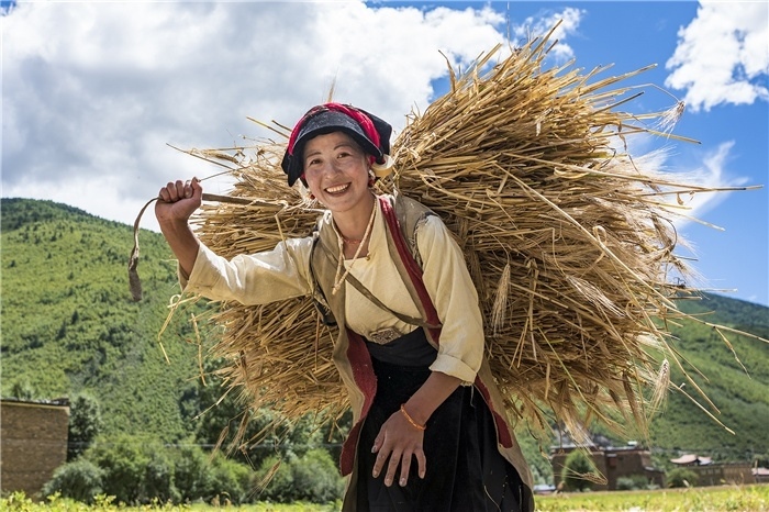 康定市甲根壩鎮(zhèn)青稞豐收，農(nóng)牧民臉上洋溢著豐收的喜悅。林革文攝