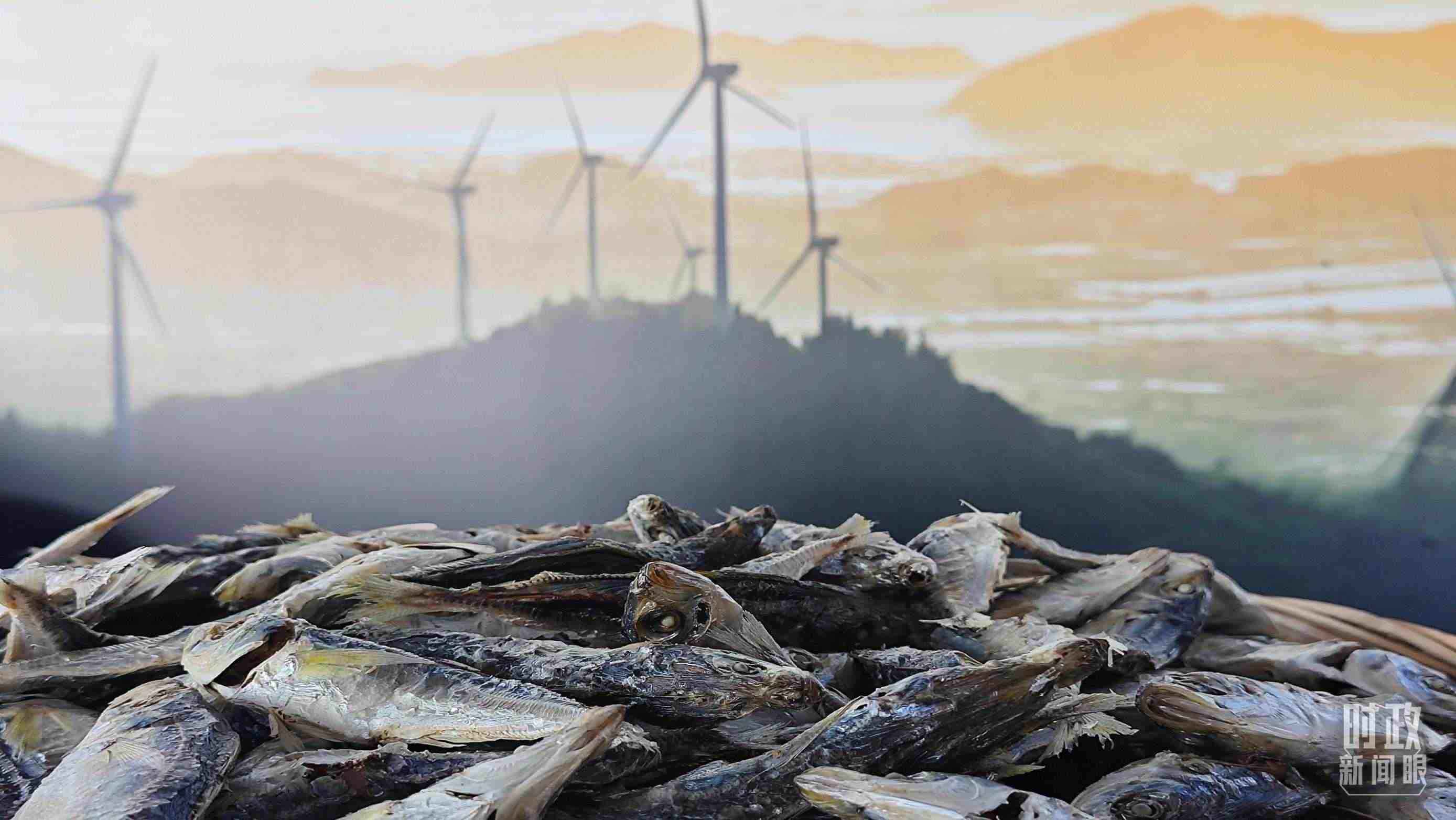 △澳角村的海產(chǎn)品。（總臺央視記者許永松拍攝）