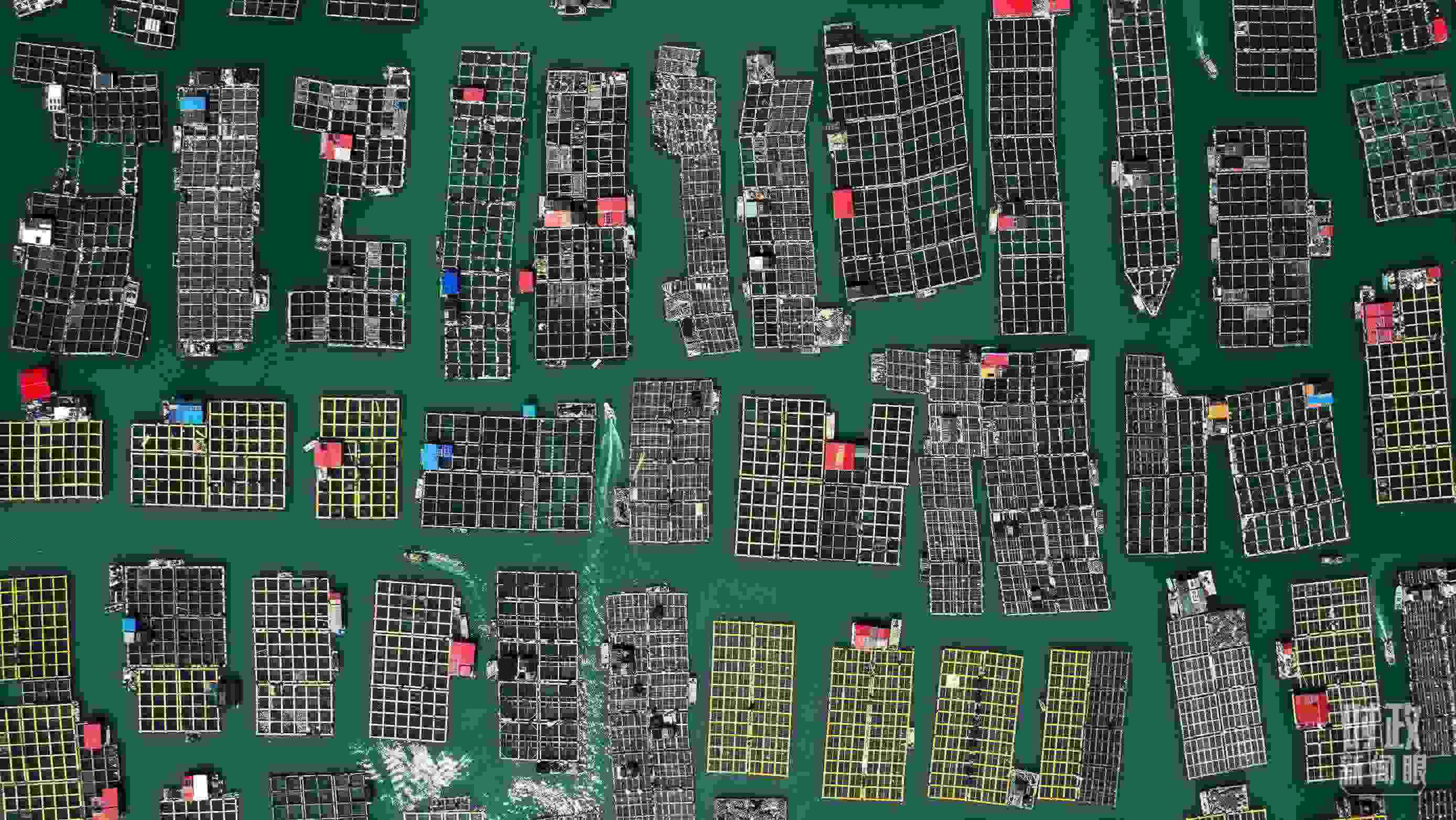 △澳角村。（總臺記者李晉拍攝）