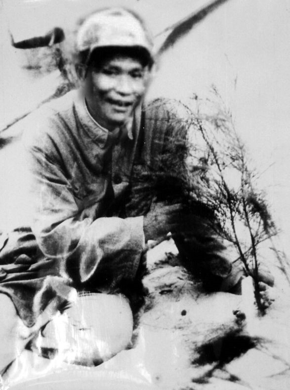 谷文昌與試種成活的木麻黃（資料照片）。為了治沙，谷文昌爬遍了東山縣400多個(gè)山頭，踏遍了30多公里的沙灘，終于帶領(lǐng)東山人民試種木麻黃成功。