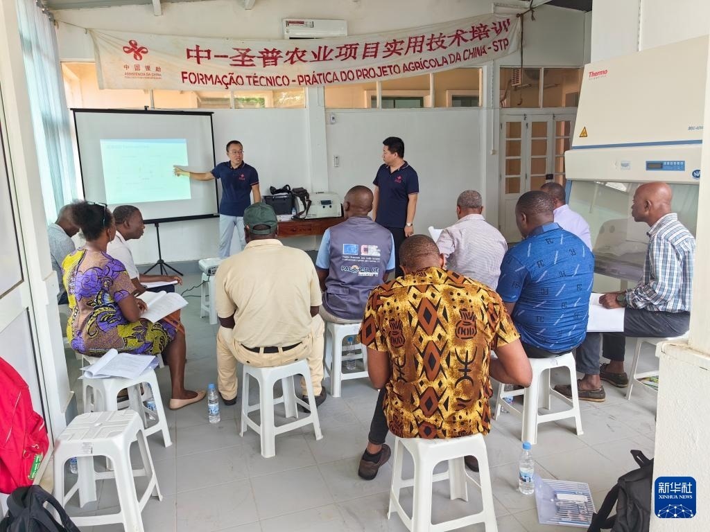 中國援圣普農(nóng)牧業(yè)技術(shù)項(xiàng)目組專家段振華（后左）在圣多美和普林西比的國家獸醫(yī)實(shí)驗(yàn)室開展動(dòng)物疫病監(jiān)測(cè)技術(shù)培訓(xùn)（2024年6月21日攝）。新華社發(fā)（中國援圣普農(nóng)技組供圖）