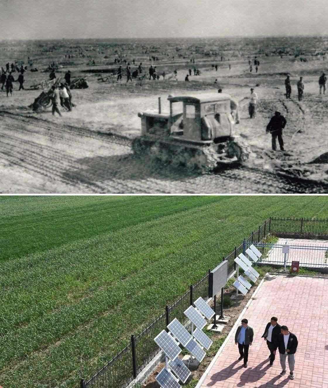 上圖為二十世紀六十年代蘭考改造鹽堿地的情景（資料照片）；下圖為2024年4月18日拍攝的蘭考縣紅廟鎮(zhèn)高標準農(nóng)田示范區(qū)。（新華社記者 朱祥 攝）