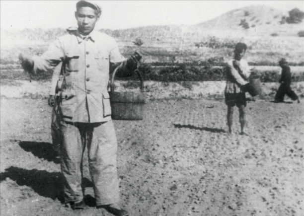 △ 谷文昌在福建省東山縣坑北村參加播種。