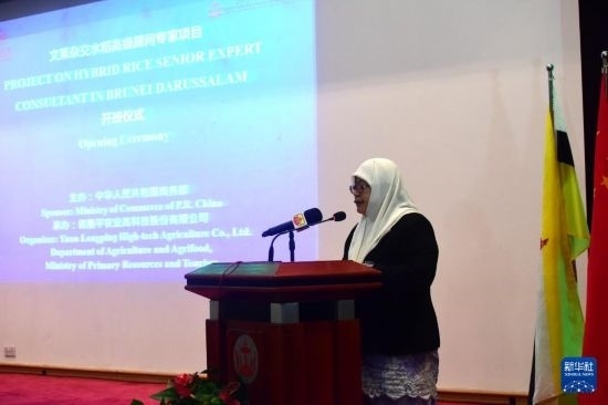 10月26日，文萊初級(jí)資源與旅游部常任秘書圖蒂亞蒂在斯里巴加灣市出席中國與文萊雜交水稻高級(jí)專家顧問項(xiàng)目啟動(dòng)儀式。新華社記者 李萌 攝