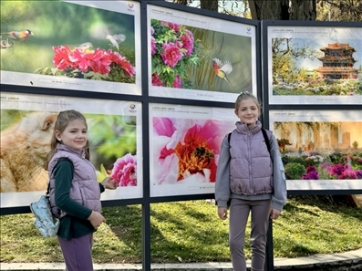 活動現(xiàn)場。中國駐保加利亞大使館供圖。