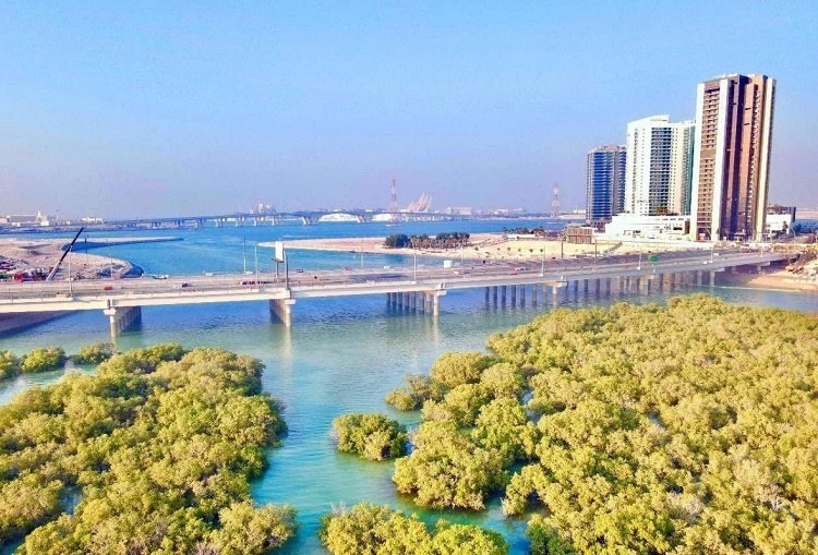 圖為瑞姆橋施工現(xiàn)場。中國土木供圖