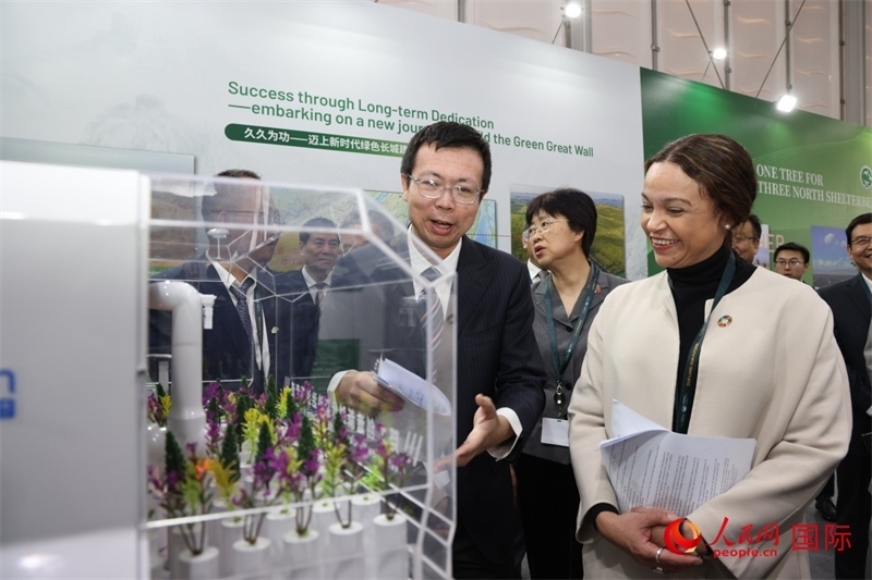 嘉賓參觀中國(guó)館。人民網(wǎng)記者任皓宇攝