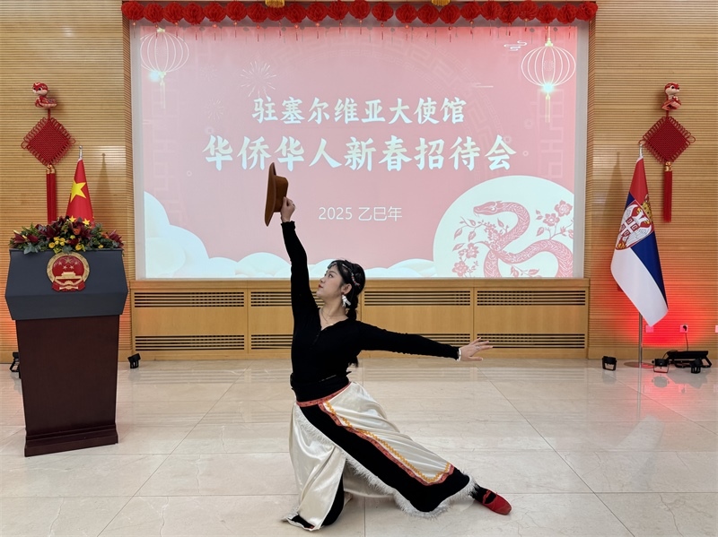 招待會(huì)現(xiàn)場(chǎng)表演。諾維薩德孔子學(xué)院供圖