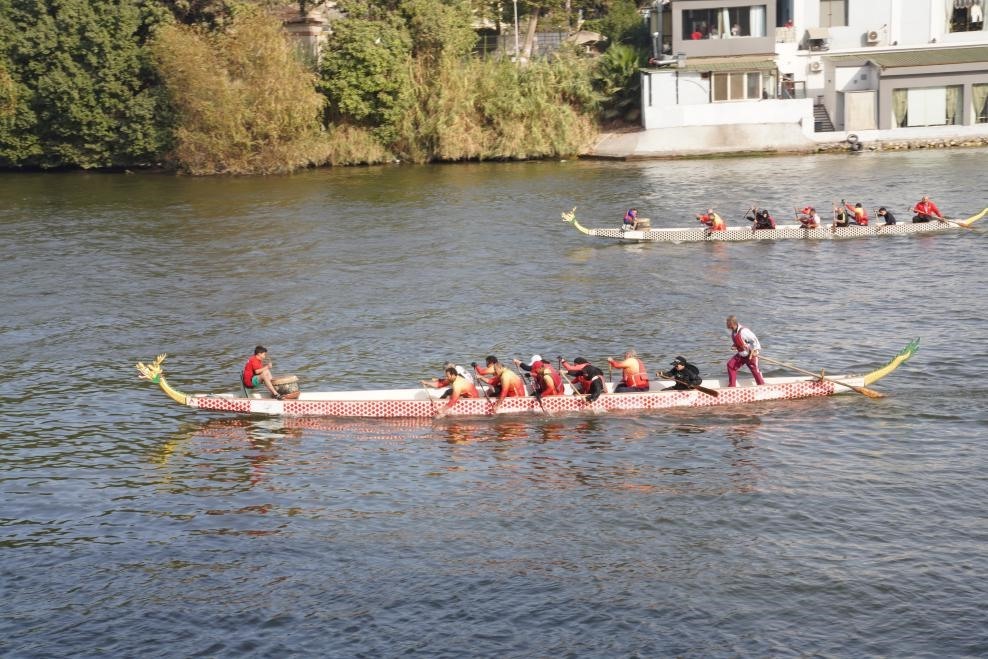 活動現(xiàn)場龍舟競技，共慶春節(jié)。開羅中國文化中心供圖