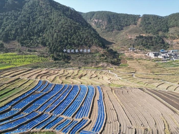 △近日，四川涼山一現(xiàn)代農(nóng)業(yè)園春耕育秧搶農(nóng)時。