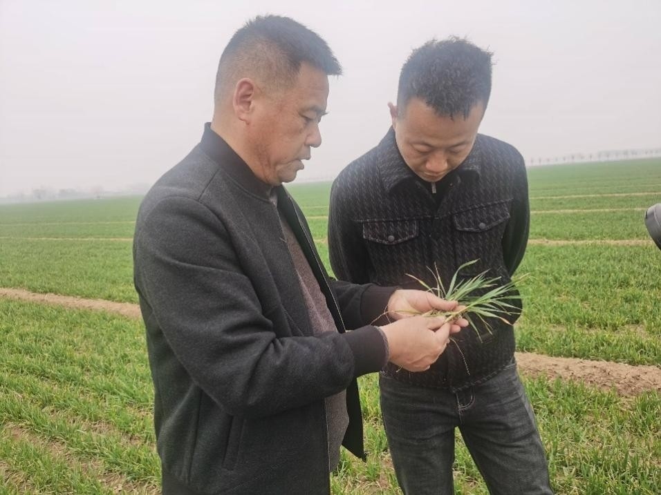 在山東濟寧汶上縣苑莊鎮(zhèn)，農(nóng)技員黃海龍對種糧大戶王振現(xiàn)場進行春耕指導。人民網(wǎng)記者 車柯蒙攝