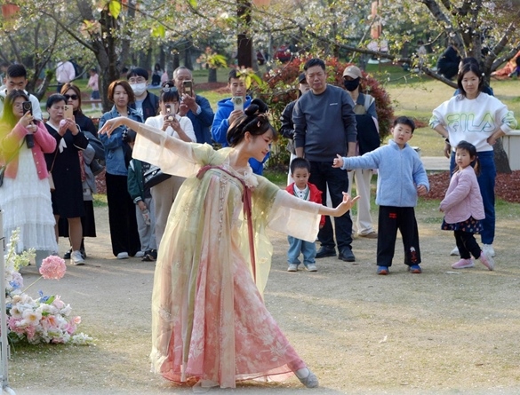 清明假期期間，上海顧村公園櫻花島上，游客在觀賞國(guó)風(fēng)漢服快閃表演。（圖片來(lái)源：視覺(jué)中國(guó)）