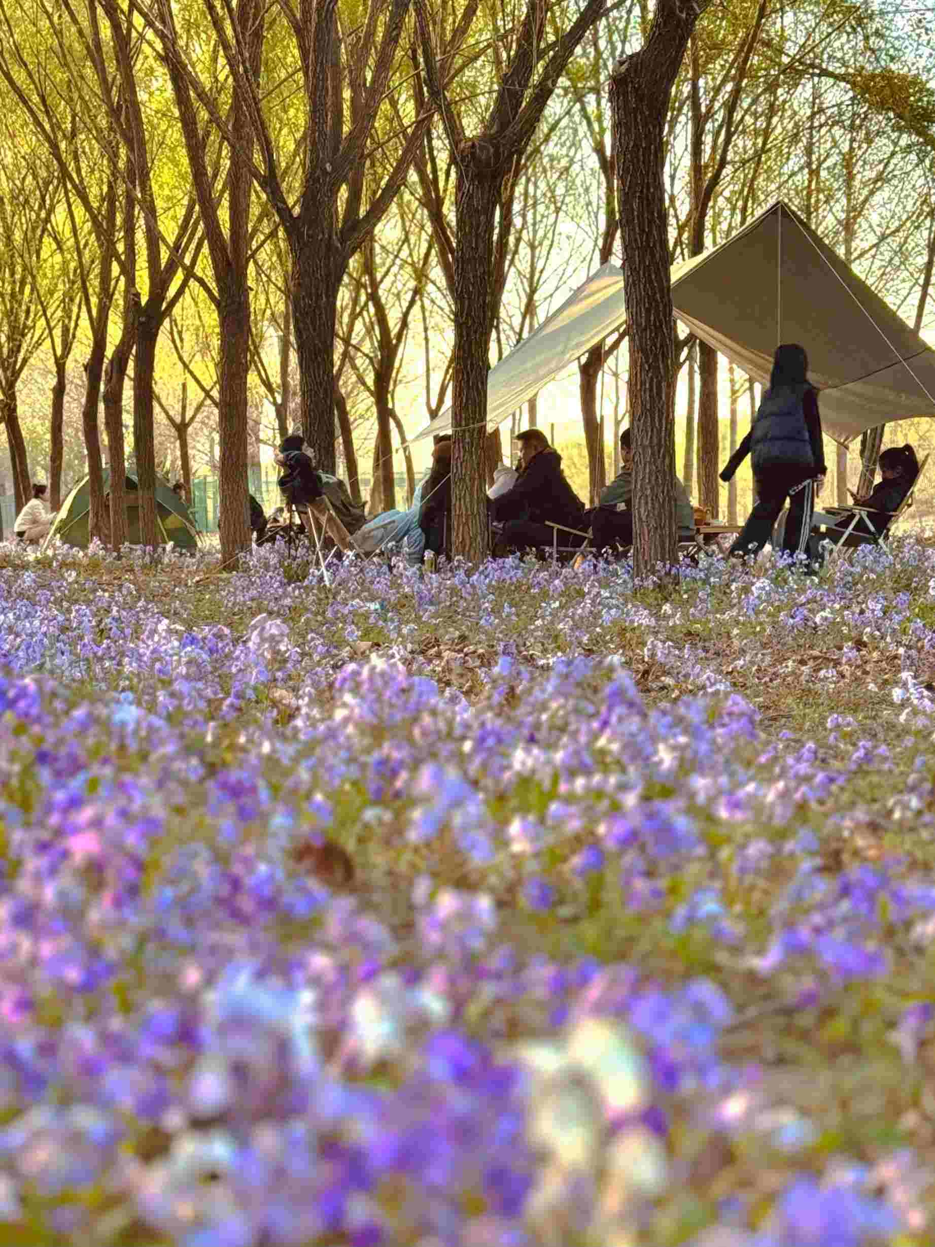 清明假期期間，范女士一家在北京溫榆河邊露營(yíng)。受訪者供圖