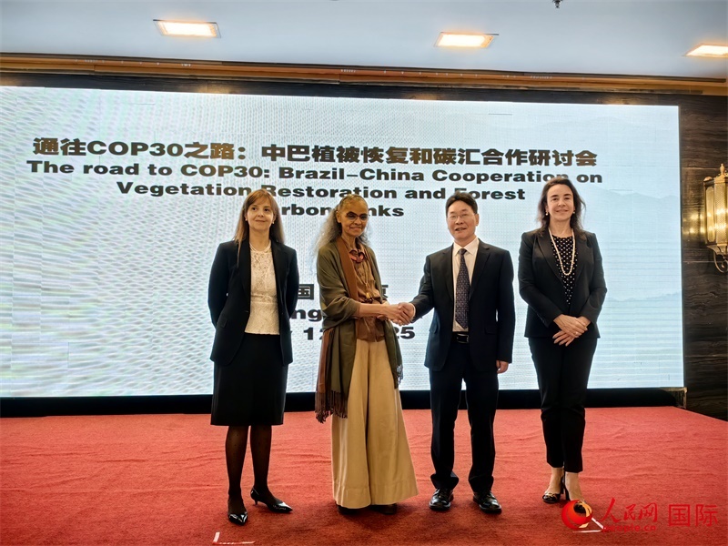 中國(guó)國(guó)家林業(yè)和草原局副局長(zhǎng)李云卿（右二）、巴西環(huán)境和氣候變化部部長(zhǎng)瑪麗娜·席爾瓦（左二）、巴西財(cái)政部副部長(zhǎng)羅熙丹（右一）、巴西駐華大使館公參樂美（左一）出席“通往COP30之路：中巴植樹造林和碳匯合作研討活動(dòng)”。人民網(wǎng)記者 符園園攝