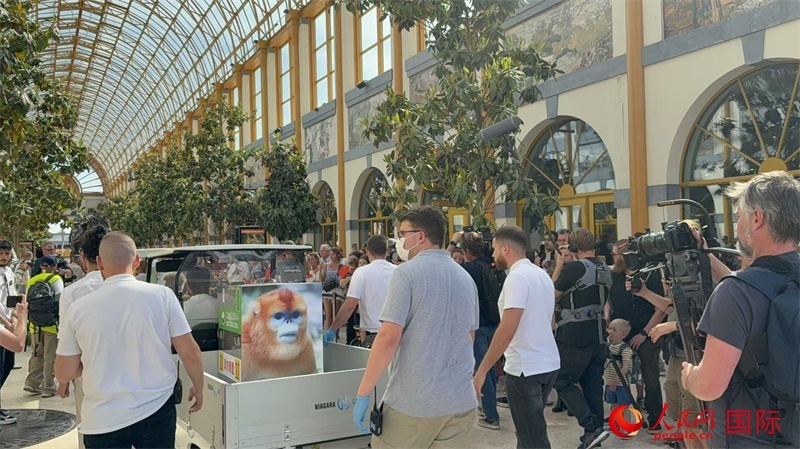 圖為活動現(xiàn)場。人民網(wǎng)記者 牛瑞飛攝