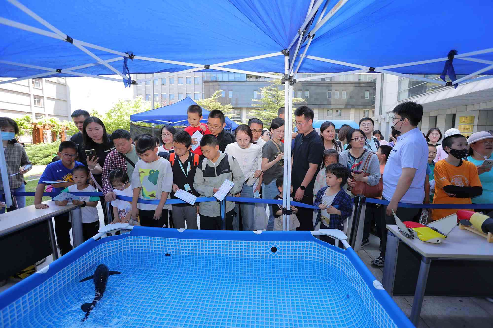 水下仿生機(jī)器魚在活動(dòng)現(xiàn)場(chǎng)大受歡迎。中國科學(xué)院自動(dòng)化研究所供圖